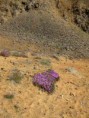 /album/a20112/ii-85-img-7522-isl-110811-krafla-jpg/
